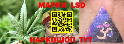 прущие крисы Можга