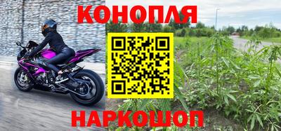 прущие крисы Можга