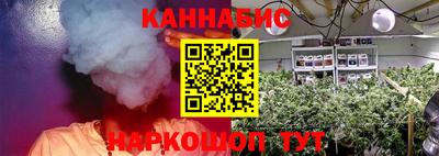 прущие крисы Можга